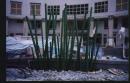 Fiberglass bamboo